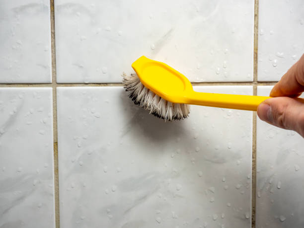 Best Mold Damage Repair  in Ecorse, MI